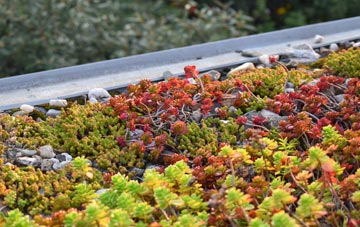 the cost of Five Lane Ends green roof installation