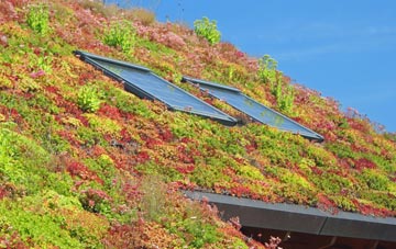 Five Lane Ends living roof systems