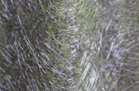 Five Lane Ends fibreglass roof work